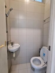 Ponggol Seventeenth Avenue (D19),  #506164081